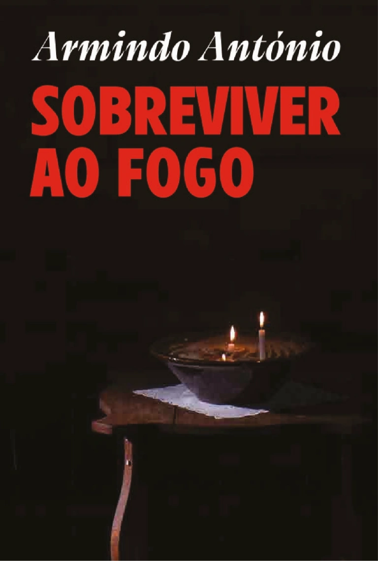 Sobreviver ao Fogo cover