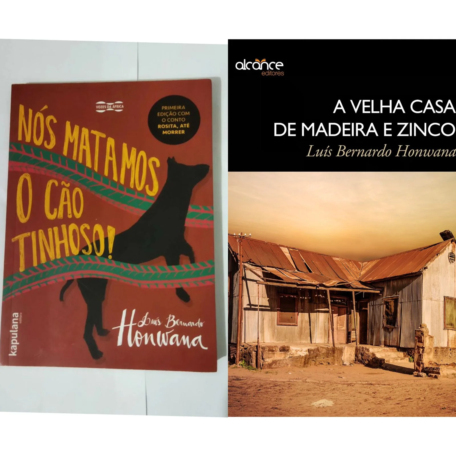 Marta Banasiak palesta obra de Luís Bernardo Honwana na AEMO