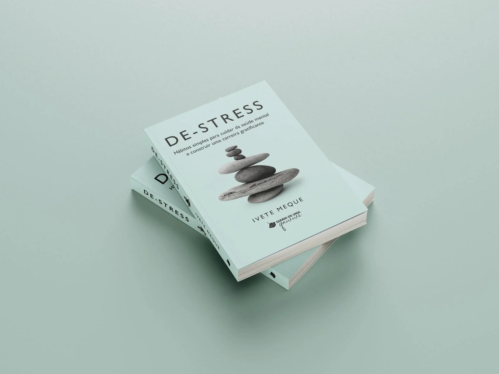 Lançamento de livro em Maputo destaca hábitos simples para saúde mental e realização profissional