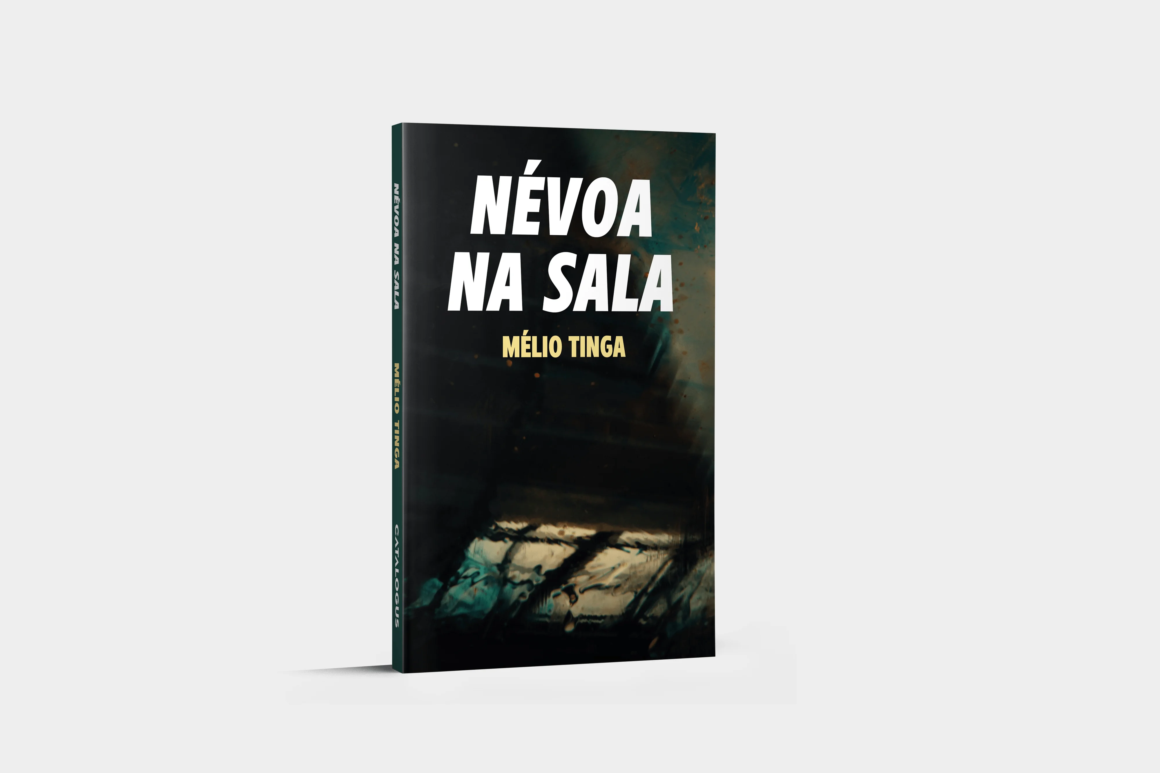 Catalogus realiza sessão de leitura de “Névoa na Sala” no Camões